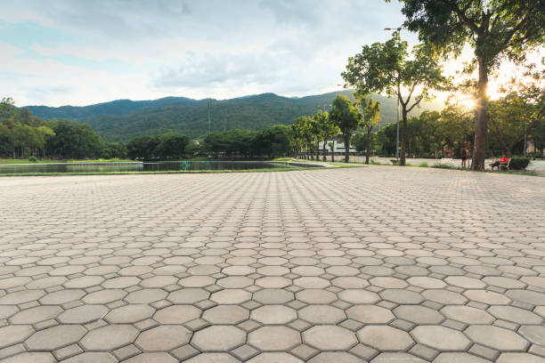 Best Driveway Paving Near Me  in Graham, NC